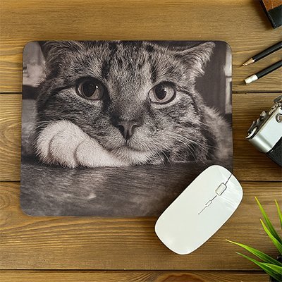 tapis souris chat regard doux avec souris